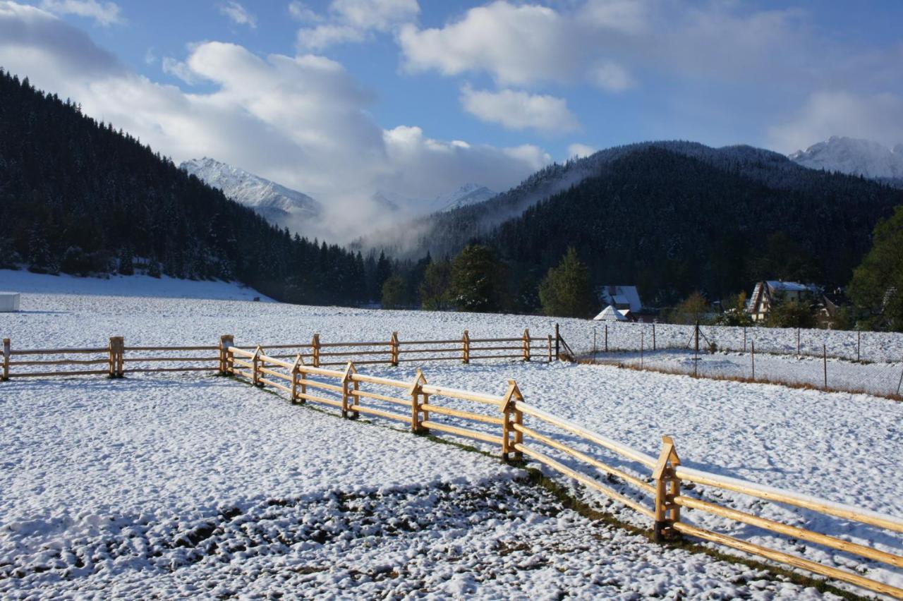 Willa Pod Nosalem III Zakopane Luaran gambar