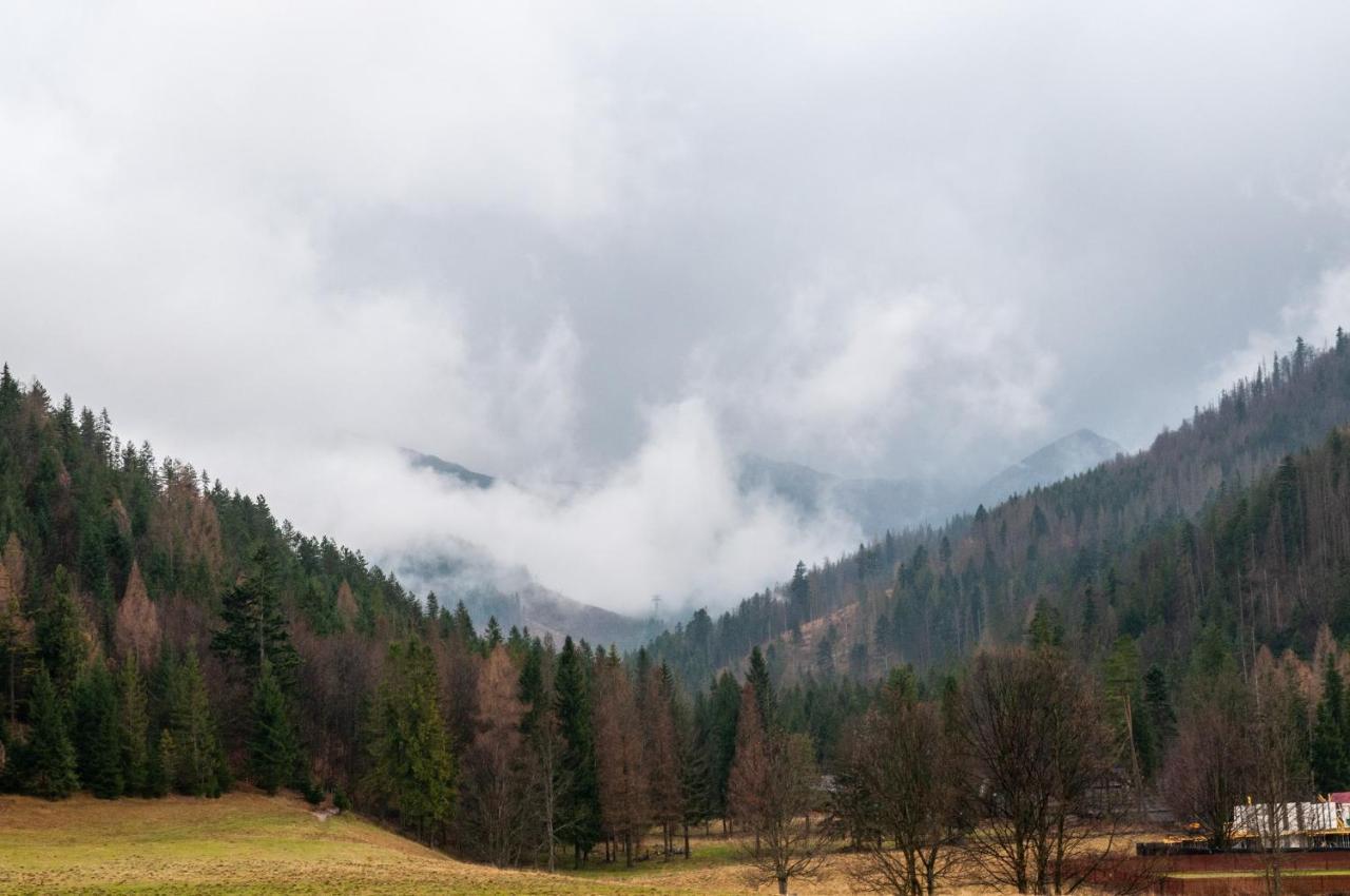 Willa Pod Nosalem III Zakopane Luaran gambar